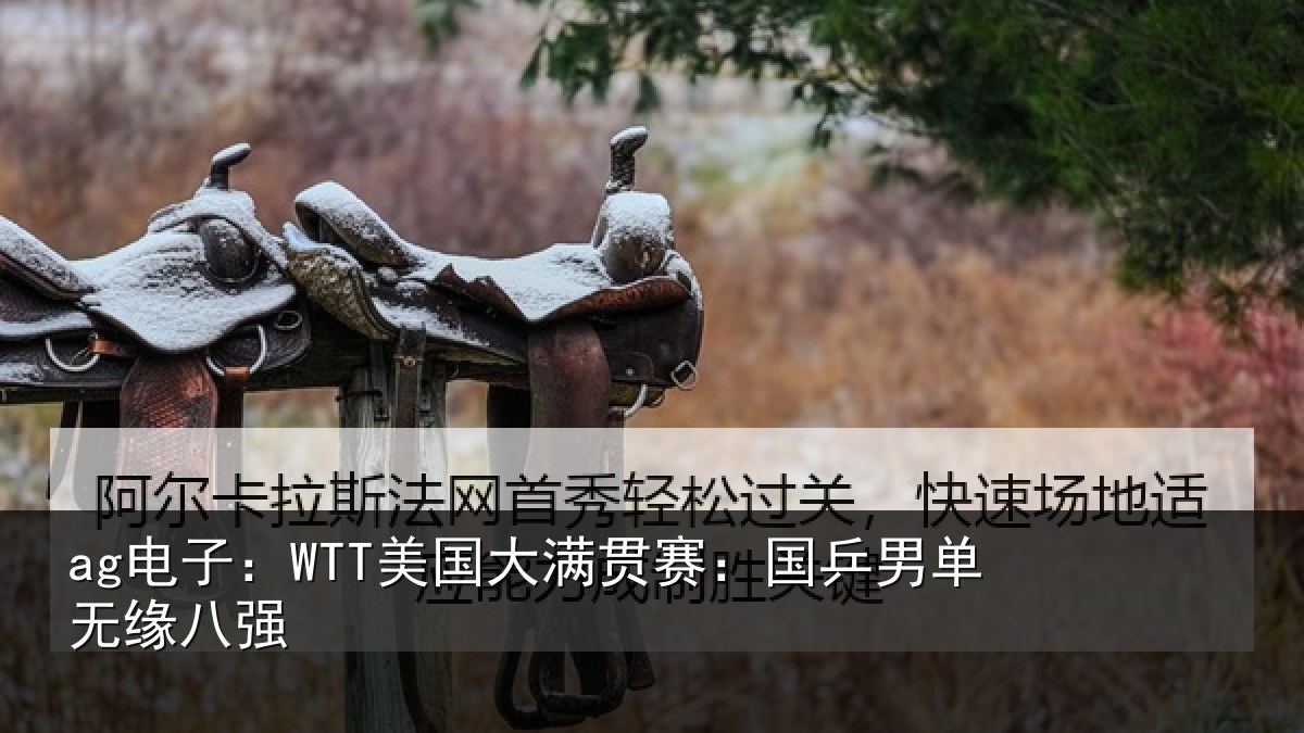 ag电子:WTT美国相关情况无缘八强