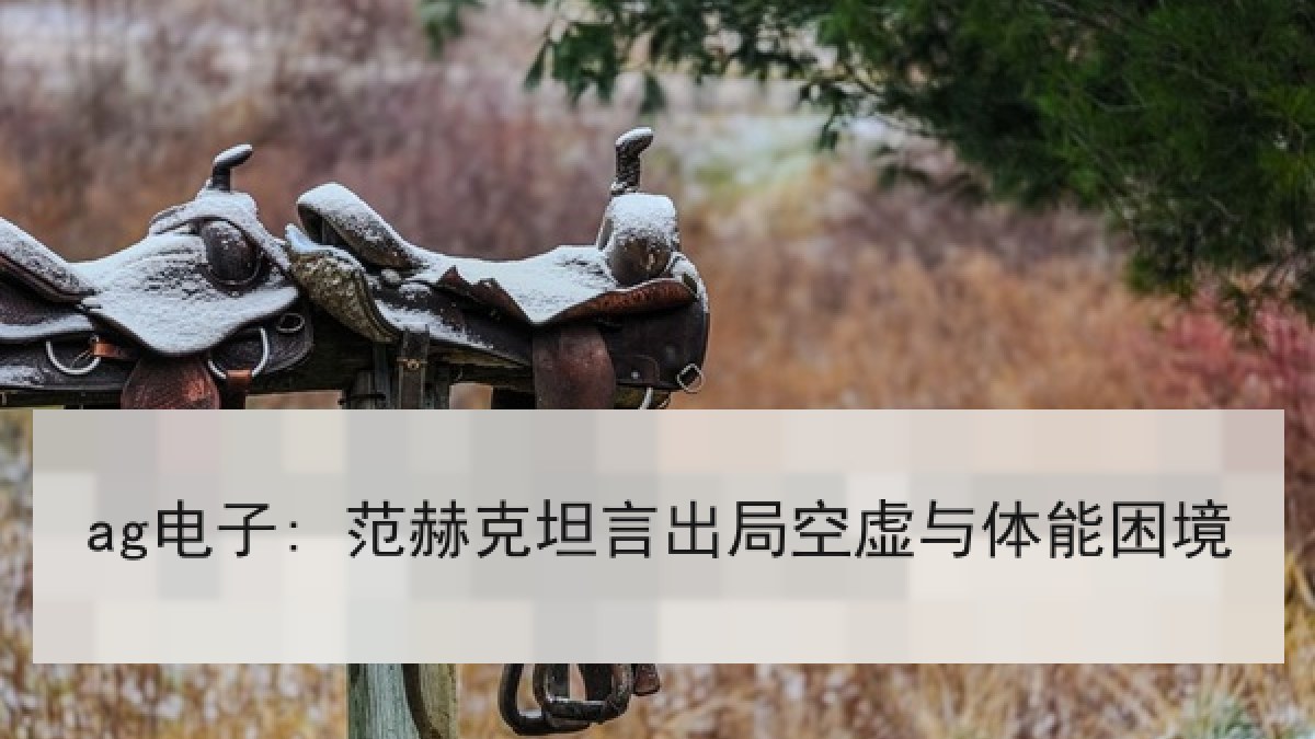ag电子: 范赫克坦言出局空虚与体能困境 ag电子: 范赫克坦言出局空虚与体能困境